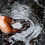 A hand touching crude oil. Photo: iStock.