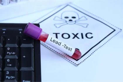 Lead test to look for abnormalities in blood sample in a test tube to analyze in the laboratory. Photo: iStock.